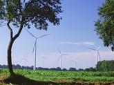 BNA: Gibt Ergebnisse der zweiten Ausschreibung für Wind an Land bekannt