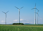 EEG-Novelle: Neue Regeln für die Windkraftbranche