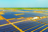 Trina Solar: Hält Spitzenposition unter bankfähigen Modulherstellern