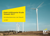 EY Schweiz: Schweizer Energienetze schlecht vor Cyberangriffen geschützt