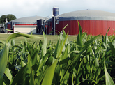 Biogaspartnerschaft: Innovative Geschäftsmodelle für Biomethanmarkt gesucht