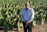 Mexiko: Auch aus Kakteen lassen sich Biogas und Dünger produzieren!