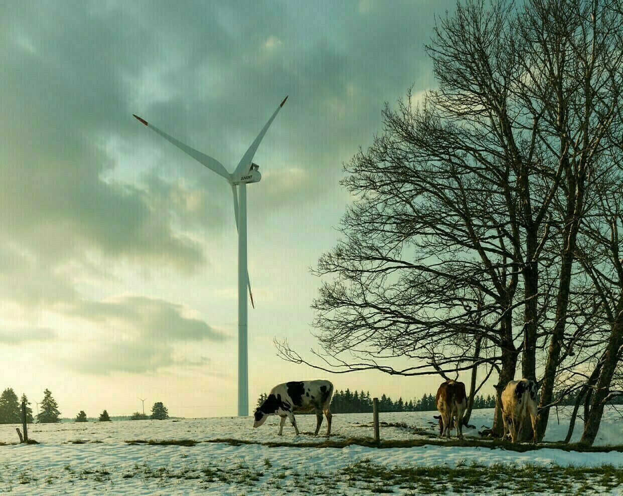 Infraschall: BAFU weist Studie von Windenergiegegner-Lobby Freie Landschaft kategorisch zurück