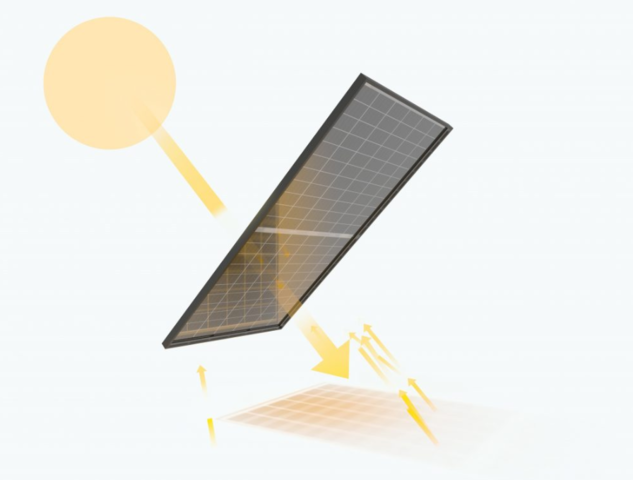 IBC Solar: Kooperiert mit Jolywood – ein leistungsstarkes Duo