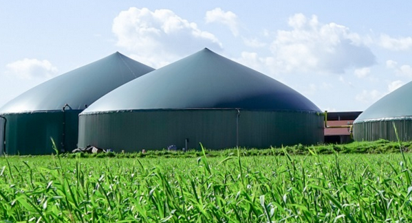Energy2market: Biogas – Eckpfeiler für ein 100 % erneuerbares Stromsystem 2035