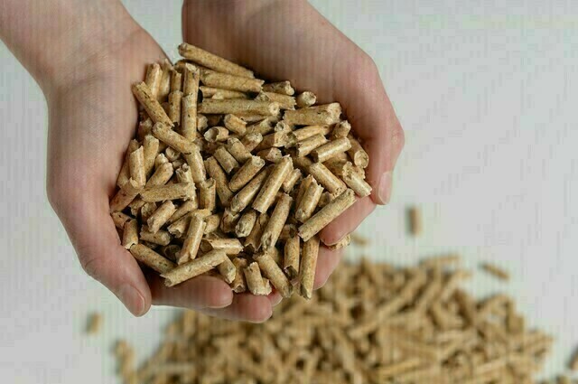 Propellets.ch : Envol de la demande de pellets à travers l’Europe - chauffez économiquement avec des pellets!