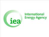 Internationale Energieagentur: «Die Schweiz muss Gas geben.»