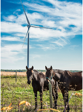 Siemens: Liefert Windenergieanlagen für 100 MW-Projekt in Kanada