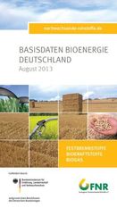 Deutschland: Basisdaten Bioenergie 2013