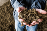 Biomasse: Schweizer Substrate optimal nutzen