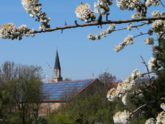AEE: Ehrt Harzer Gemeinde als Energie-Kommune des Monats