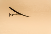 Solar Impulse 2: Erste Etappe von Abu Dhabi nach Muscat im Oman gestartet