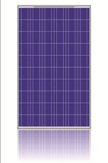 Intersolar Europe: Leistungsstarkes Solarmodul von Soleos Solar