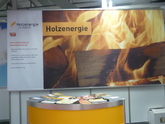 Holzenergie Schweiz: Minergie-Modul Holzheizungen für ÖkoFEN