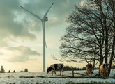 AEE Suisse: BKW unterschreibt EVU-Charta für Erneuerbare und Energieeffizienz