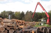 Deutschland: Ergebnisse Waldentwicklungs- und Holzaufkommensmodellierung veröffentlicht