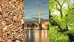 Deutschland: Klimaschutz durch Biomasse in Kohlekraftwerken