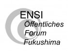ENSI-Forum: Kritik von NGOs und Journalisten