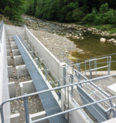 Wasserkraftwerk Waldhalde: Roter Teppich für die Fische