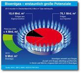 FNR: 10 Prozent des Erdgasverbrauchs in Deutschland durch Bioerdgas ersetzen
