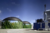 Deutschland: Biogasanlagen auf Ökobetrieben