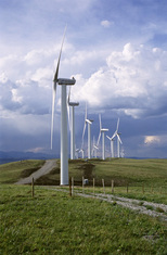 windcomm Schleswig-Holstein: Konferenz windWERT