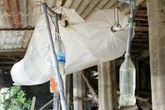 Biogas-Hausanlagen in Vietnam: Einfache Technik, grosse Wirkung