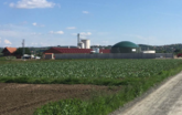 Biogas: Kroatische Schweinefarm nutzt Synergien zur Energiegewinnung