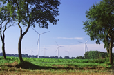 Windenergie: Noch viele Fragen bei Ausschreibungen für Windenergie an Land