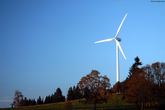 Deutschland: Windkraft im Wald