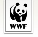 WWF: Energielenkungssystem - Wundermittel mit unnötigen Nebenwirkungen
