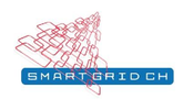 Vereins Smart Grid Schweiz: Weissbuch SmartGrid, Vol. 2