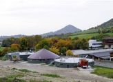 Universität Hohenheim: Reinstes Biogas unter Tiefseebedingungen