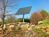 Kirchner Solar Hellas: Ein Monat nach Start volle Auftragsbücher