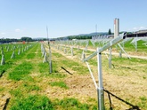 Solarpayern: Baubeginn 6 MW Kraftwerk