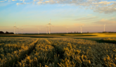 Enercon: Pilotprojekt zur Regelenergie aus Windenergieanlagen