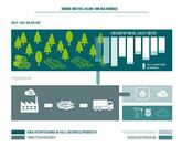 Dbfz: Veröffentlicht Diskussionspapier zur Nachhaltigkeit von Holzenergie und empfiehlt klimafreundlichere Energieförderung