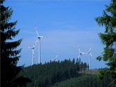 Windenergieanlagen: Mit Naturschutz übereinkommen