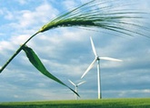 Kanton SH: Windenergiepotenzial grösser als erwartet
